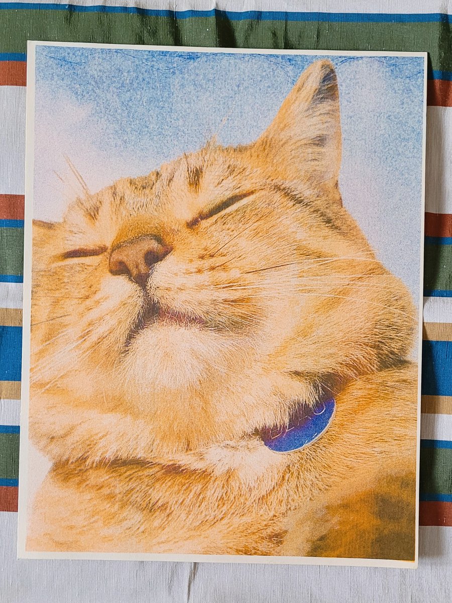 Sunny Beau Riso Print product image (1)