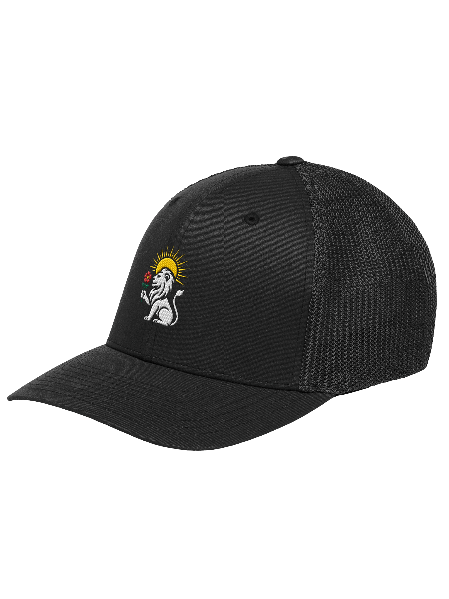 Mehr Wins - Hat (Style 1) product image (8)