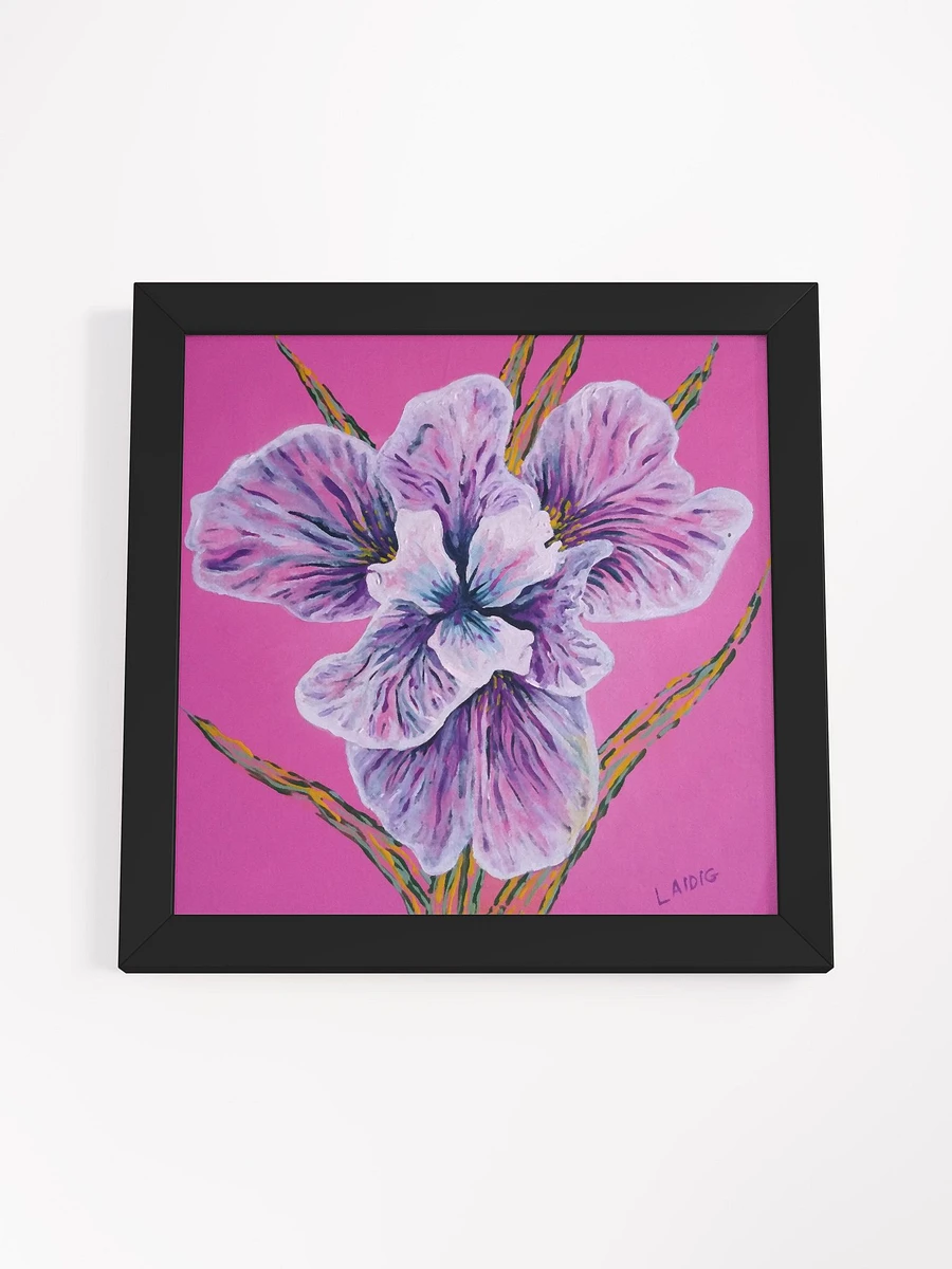 Persian Pink Remix Framed Print product image (37)