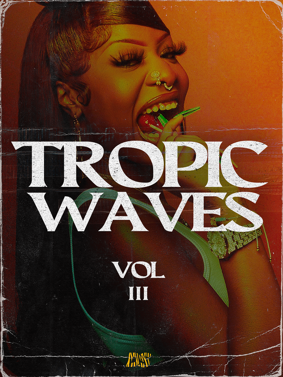 Tropic Waves III (Dancehall Shatta - Moombahton Melody pack) product image (1)