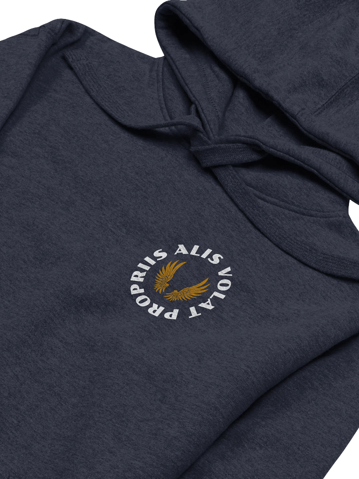 Alis Volat Propriis Hoodie product image (2)