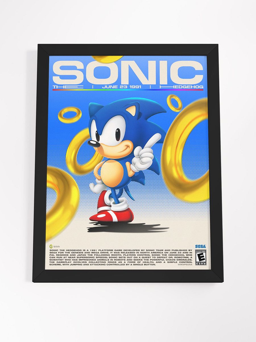 SONIC THE HEDGEHOG FRAME product image (4)