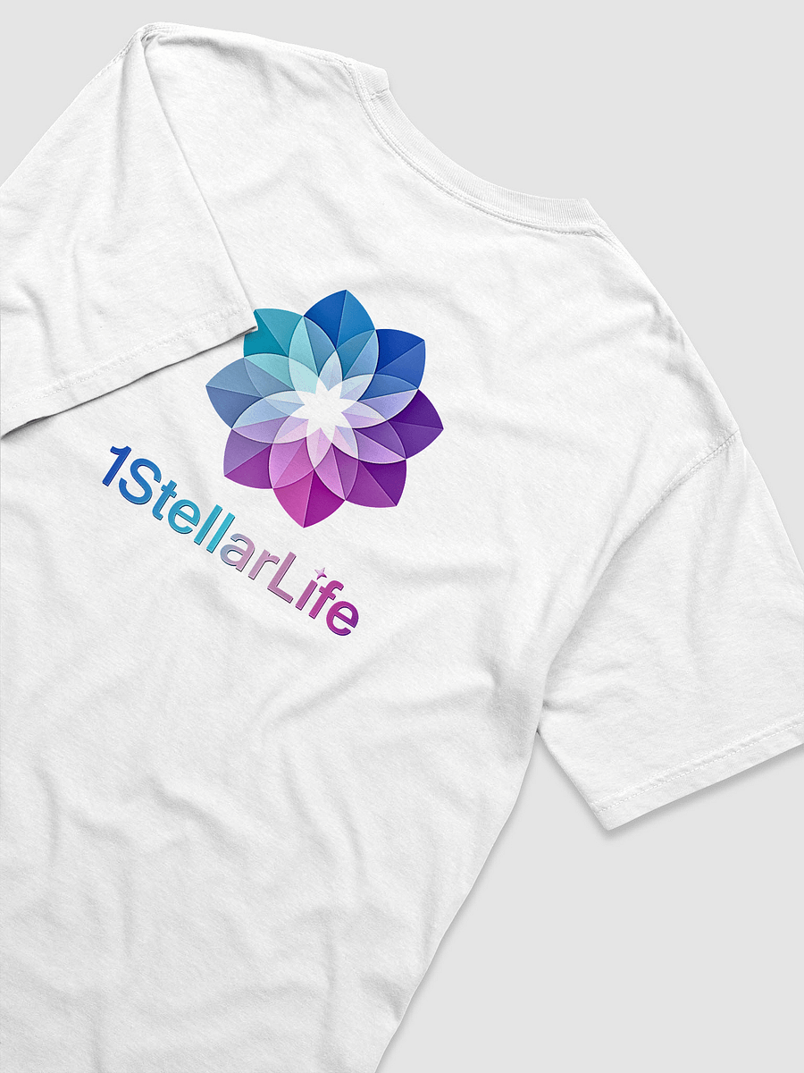 1StellarLife Heavyweight T-Shirt product image (4)