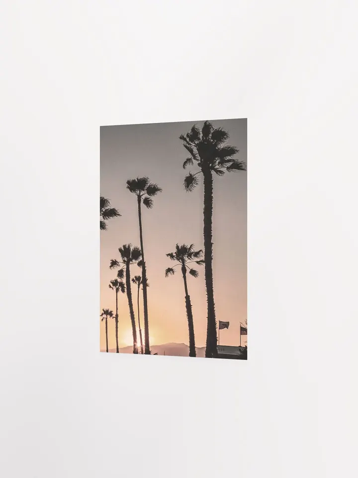 Californication - Enhanced Matte Paper Poster product image (2)