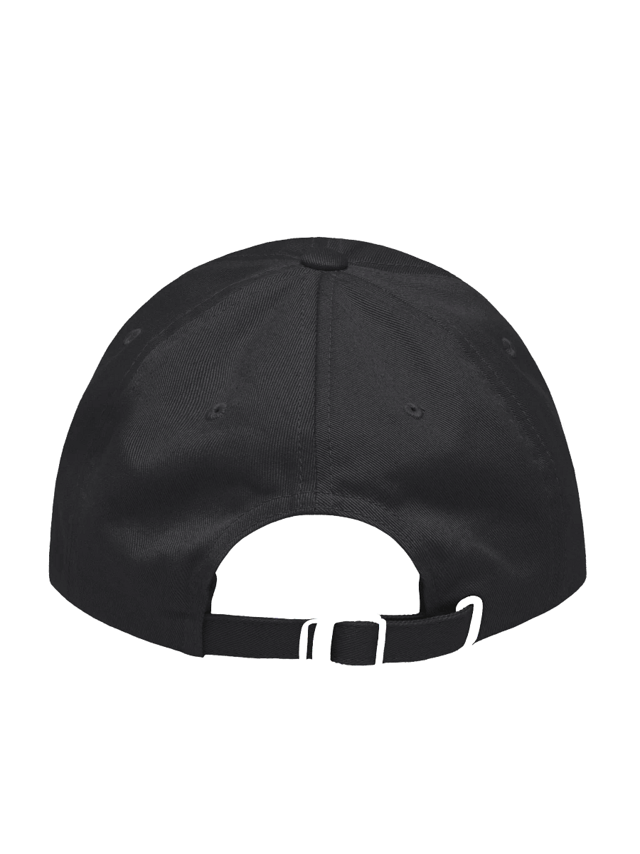magnets hat product image (2)
