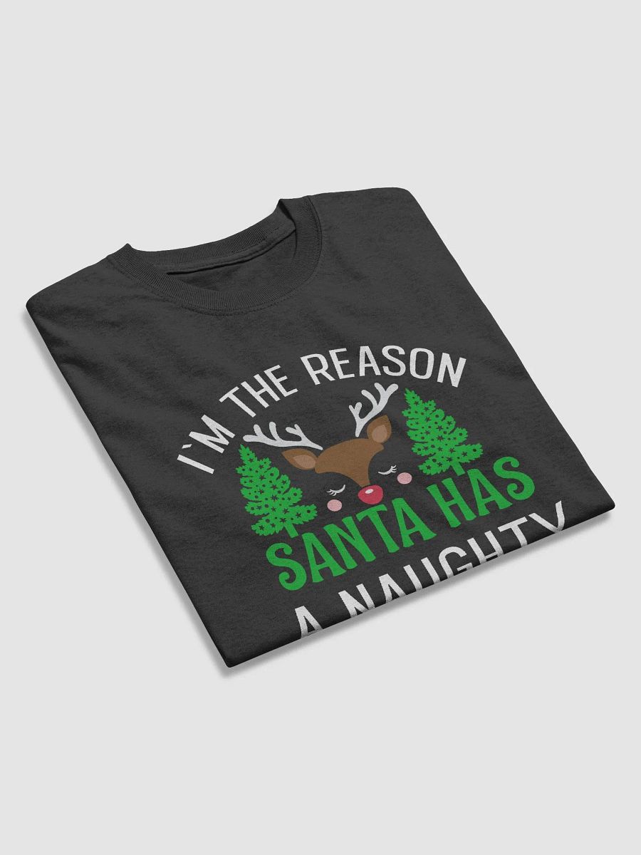 Santa has Naughty List Christmas Festive Tee Shirt Gildan 5000 USA product image (3)