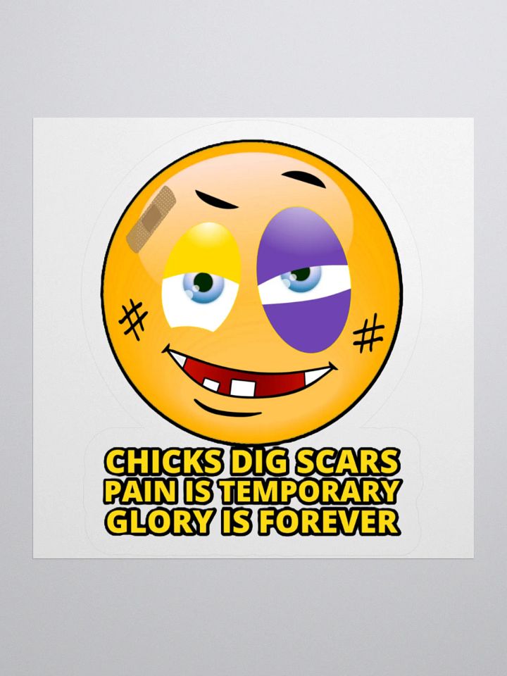 CHICKS DIG SCARS, PAIN IS TEMPORARY, GLORY IS FOREVER product image (3)