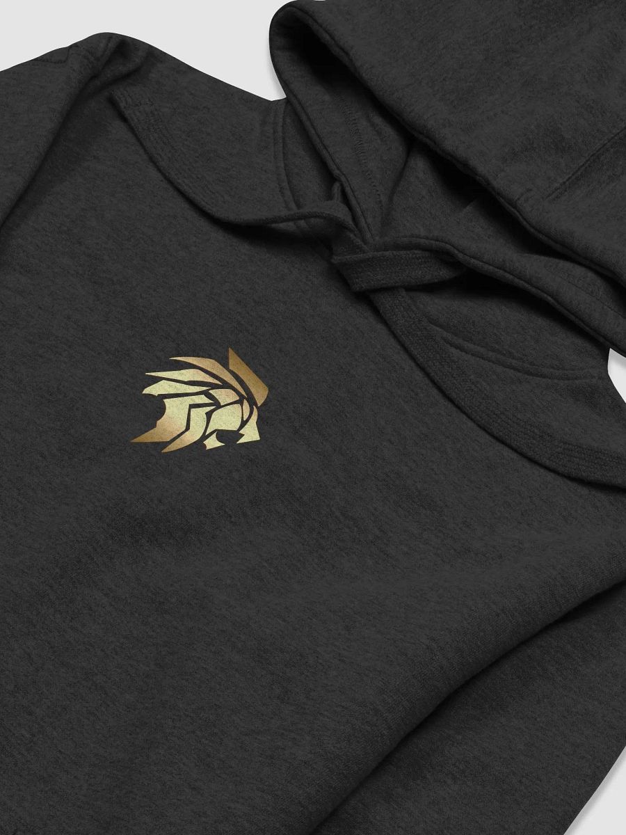 Golden Era Hoodie - Dark (Unisex) product image (10)
