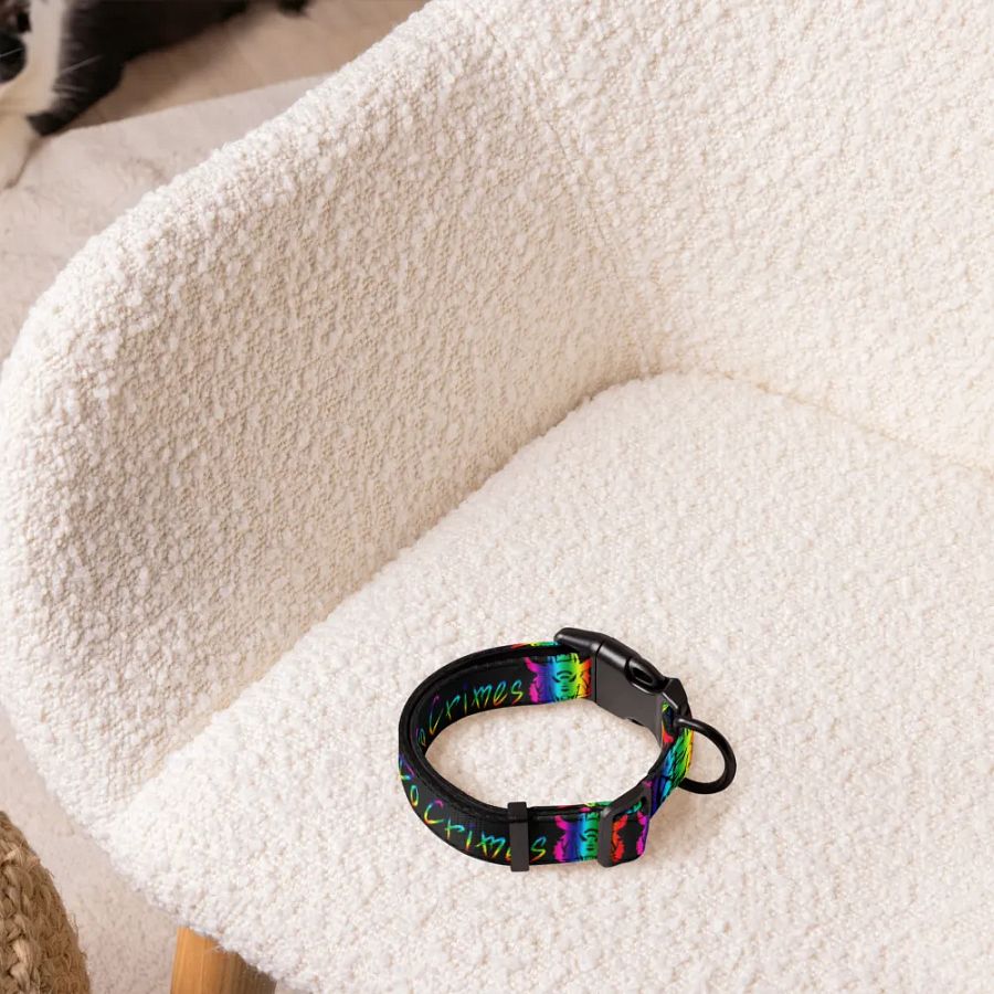 Be Gay Collar product image (3)