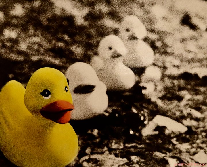 Vintage Quacks | Art Print product image (1)