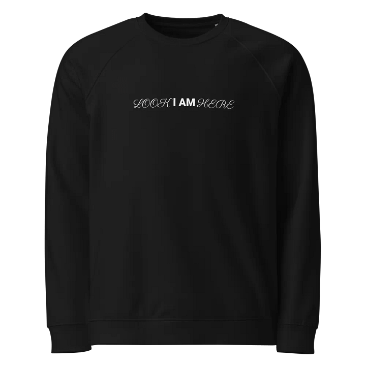 The Lives On HIGH | I AM SUBTLE | UNISEX Sweater product image (1)