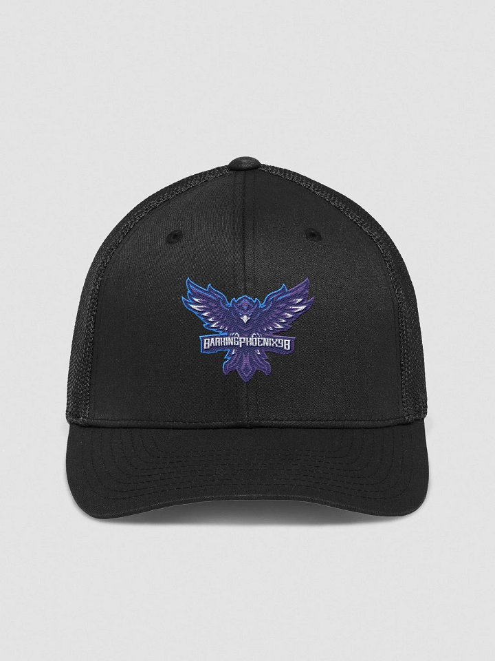 one size fits most ball cap product image (3)