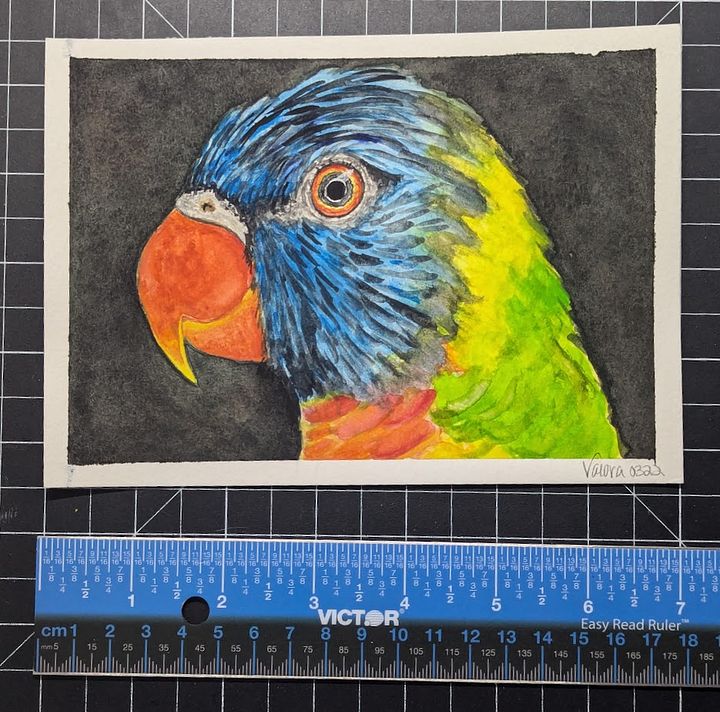 Original Art - Lorikeet product image (1)
