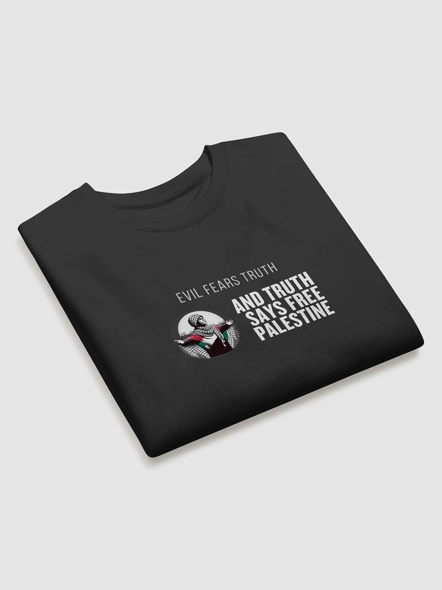 Americana Comfort Premium Sweatshirt | Evil fears truth, and truth says: Free Palestine. product image (16)