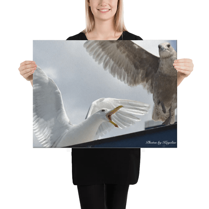 Seagull's Fighting product image (2)