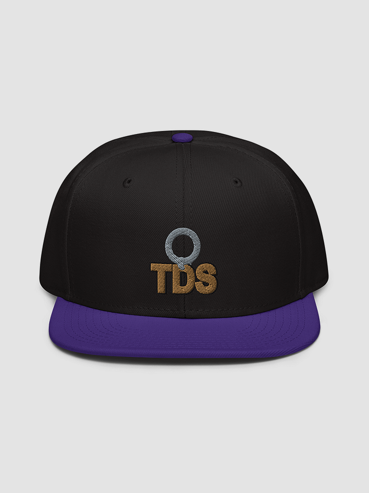 TDS Snapback - Otto Cap product image (2)