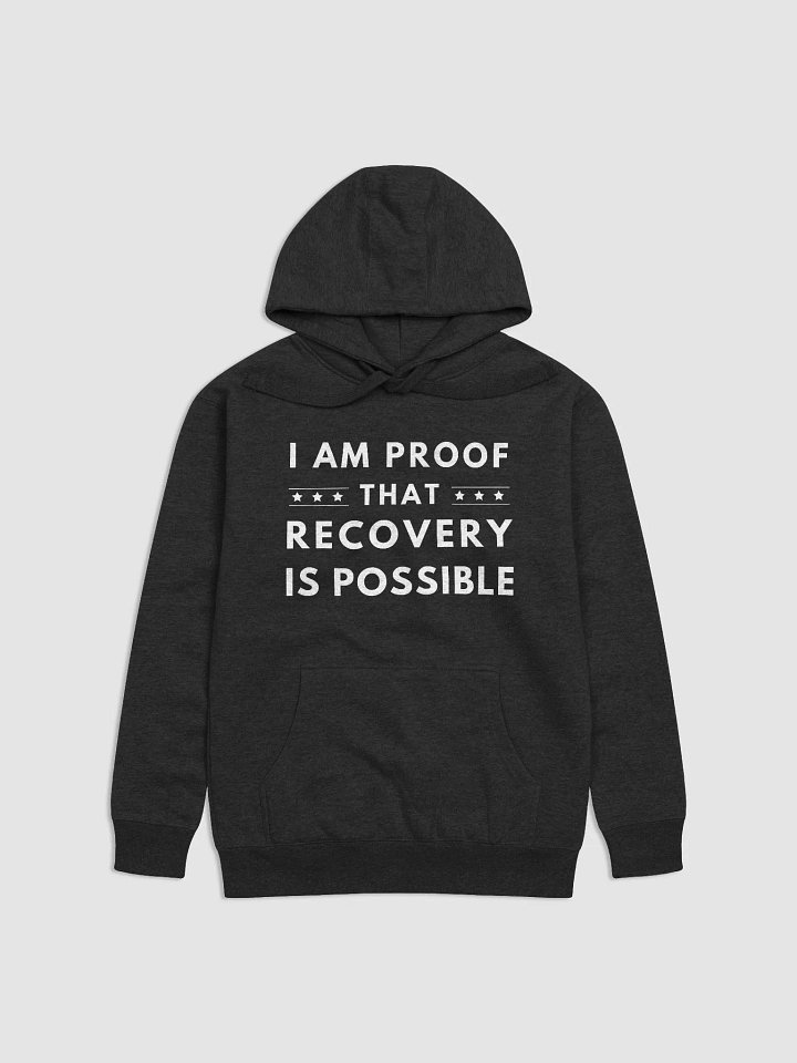 I Am Proof That Recovery Is Possible Hoodie product image (1)