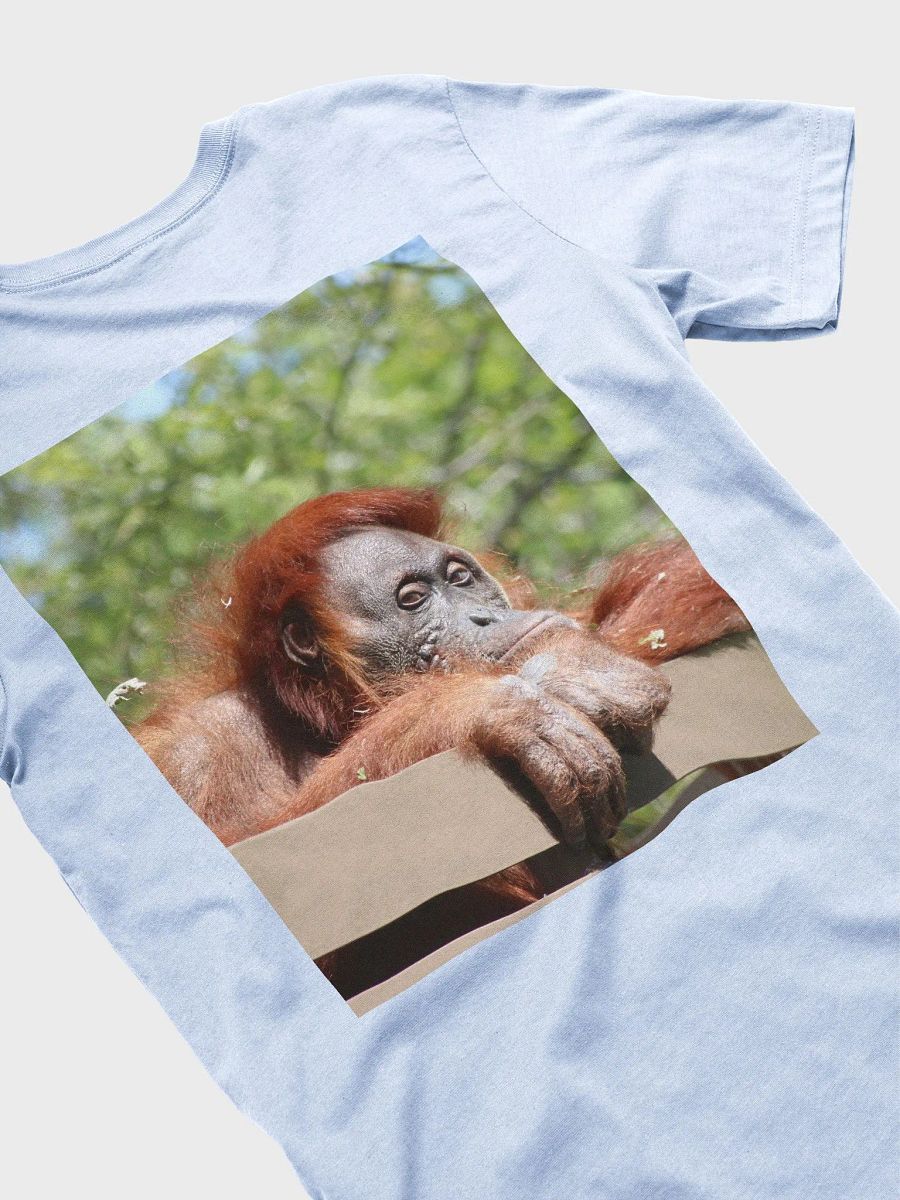 2025 CO3 tee orangutan product image (4)