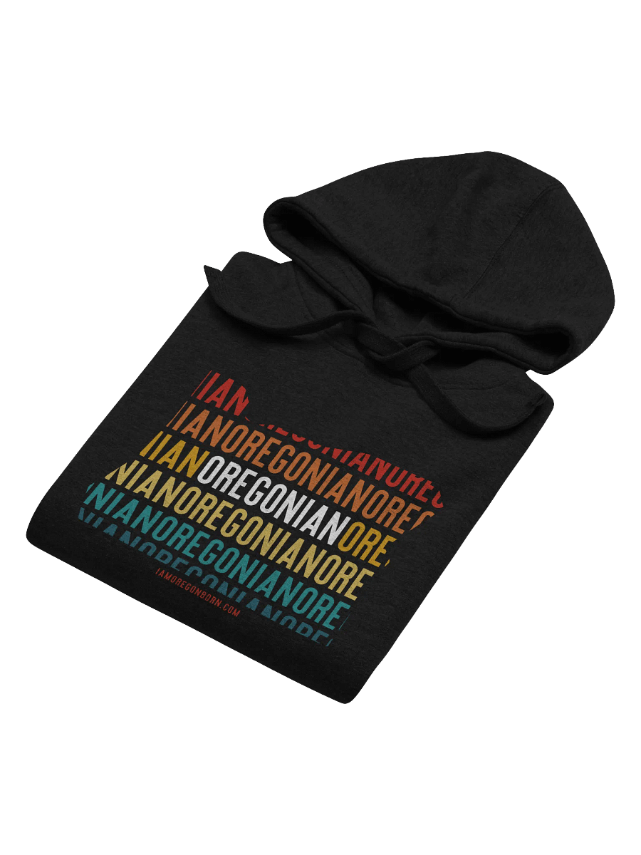 Oregonian Vintage Sunset Hoodie product image (5)