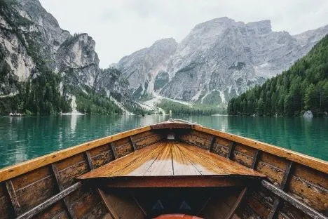 https://themes.fourthwall.com/themes/assets/6dbd9780-e7f7-4918-b632-2243590ede10/assets/image-1719129710-image-e82a15b942f38b36e3655893817f0e679e490f6aeebe1c05d204fc94be9f807c.jpg