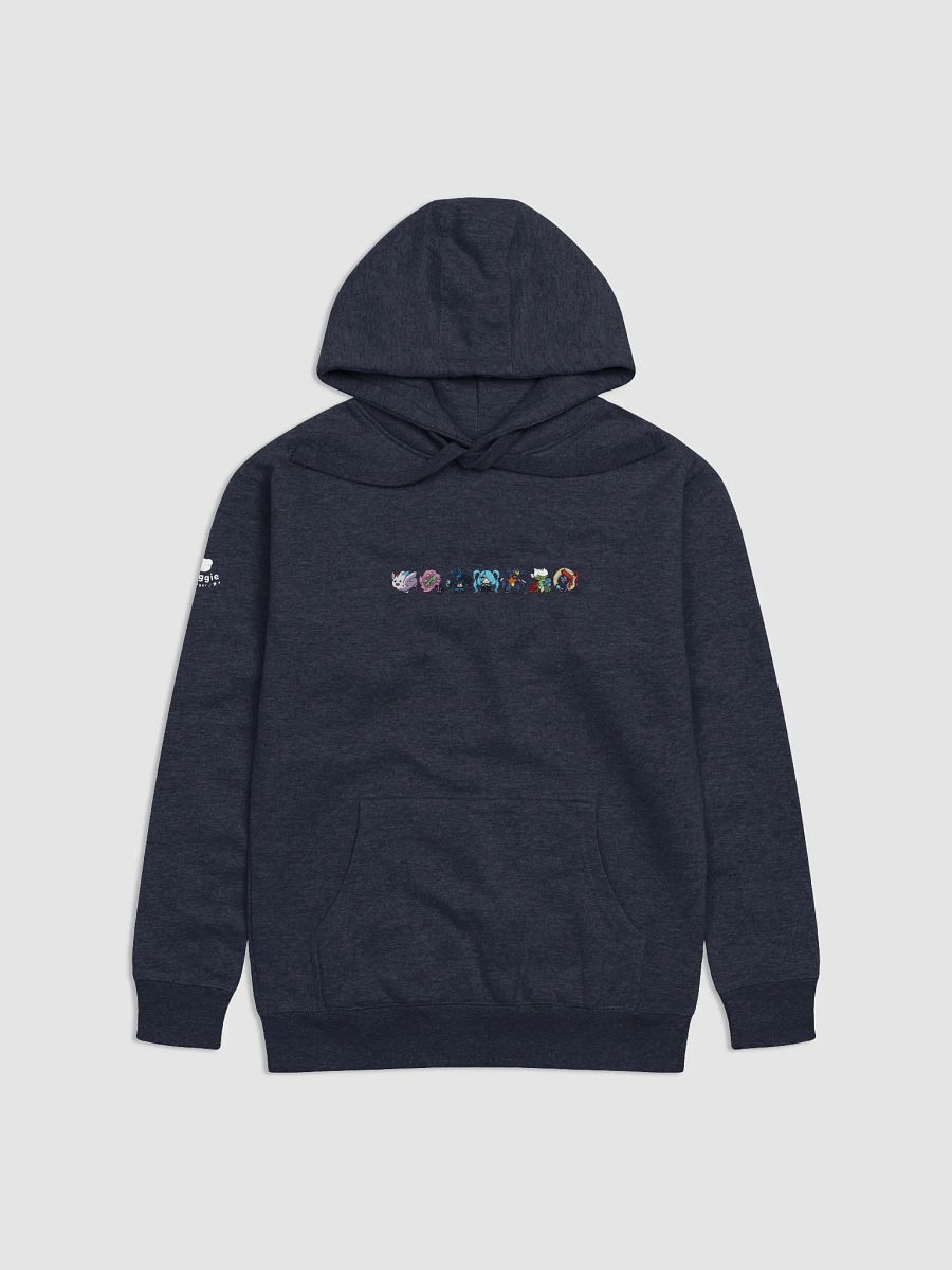 Champion's Team Hoodie product image (1)