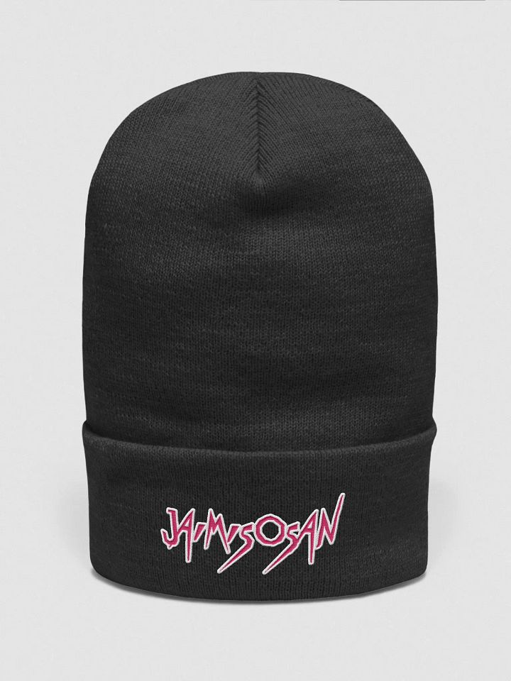 Miso Embroidered Beanie product image (1)