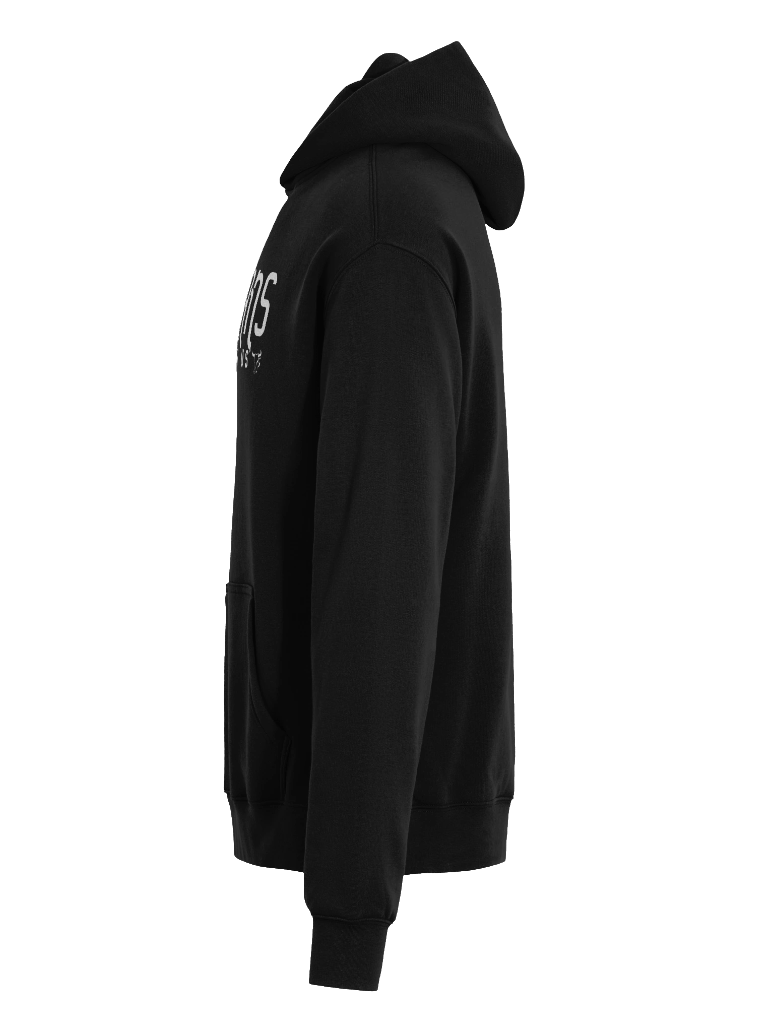 Veepians Hoodie - Blk product image (7)
