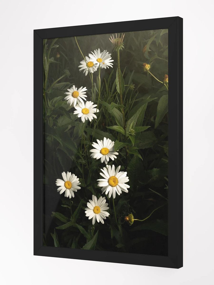 Undulating Daisies product image (2)