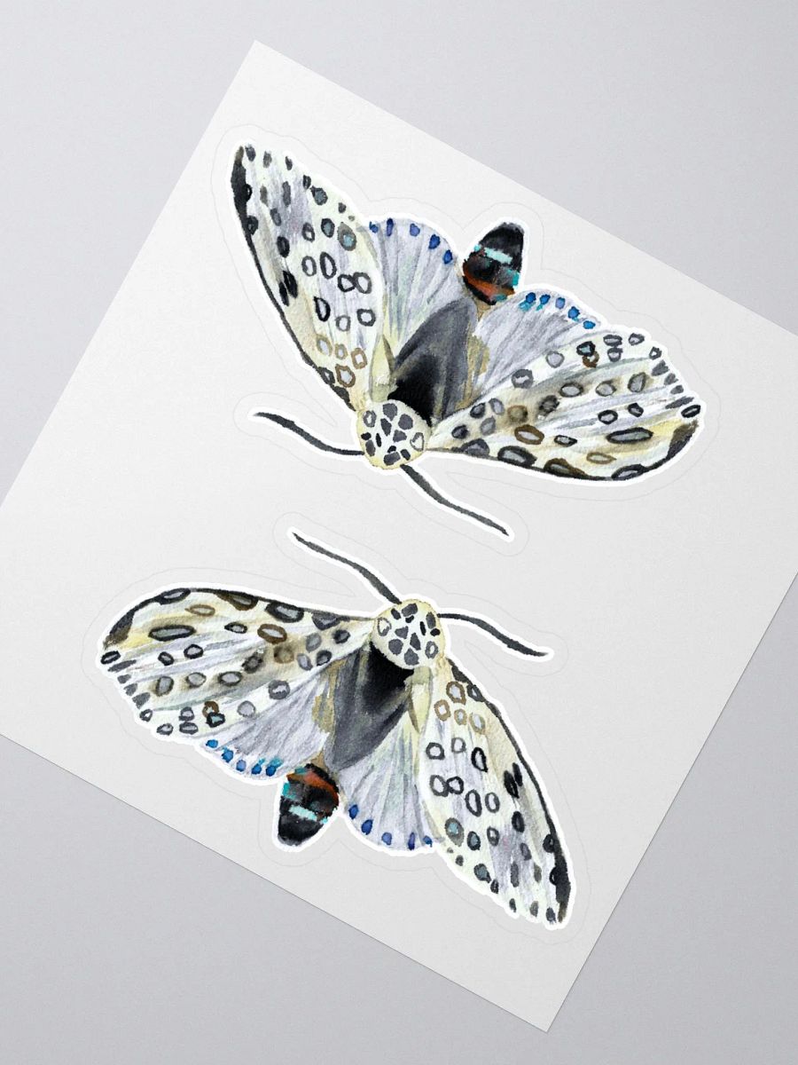 Giant Leopard Moth Sticker (x2) product image (2)
