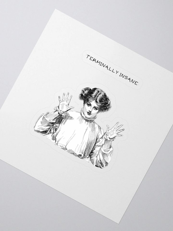 Terminally Insane product image (2)
