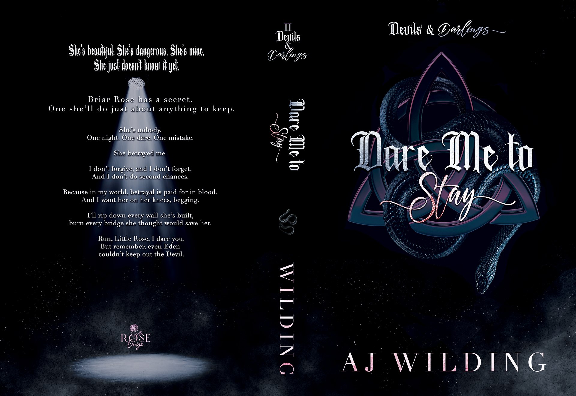 *Pre-Order* Dare Me to Stay- Signed paperback discreet edition product image (3)