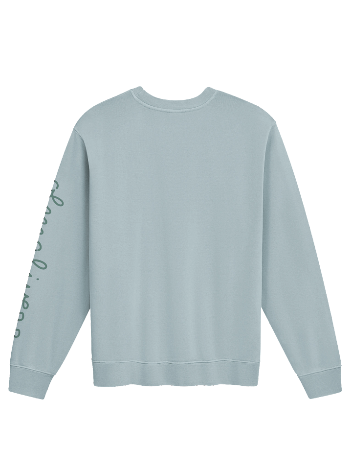 sleeve print - sweatshirt product image (7)
