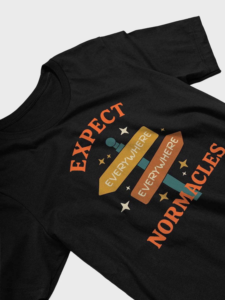 Expect Normacles Everywhere Tee product image (3)
