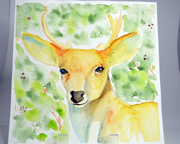 Oh Deer! product image (1)
