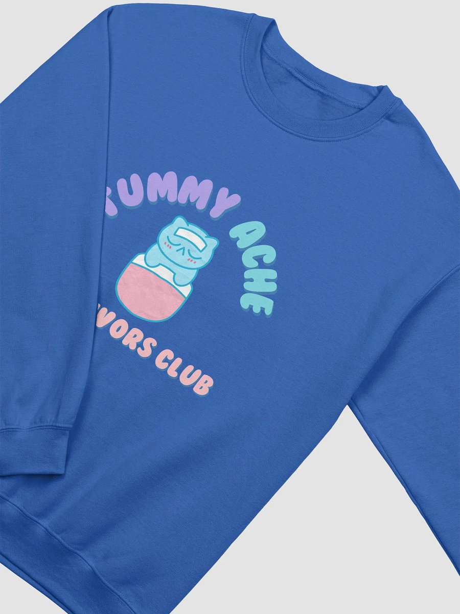 Tummy Ache Survivors Club Sweatshirt product image (20)