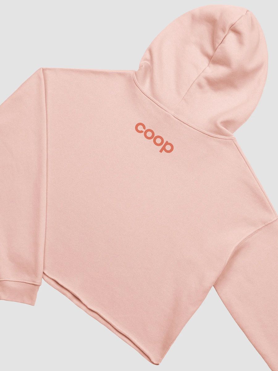 CHICKEN DADDY Cropped Hoodie product image (4)