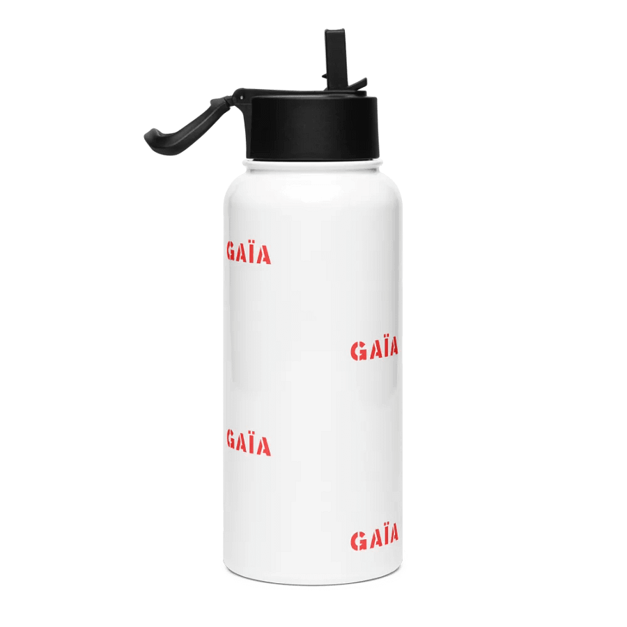 GAIA Red Pattern Stainless Steel Water Bottle product image (4)