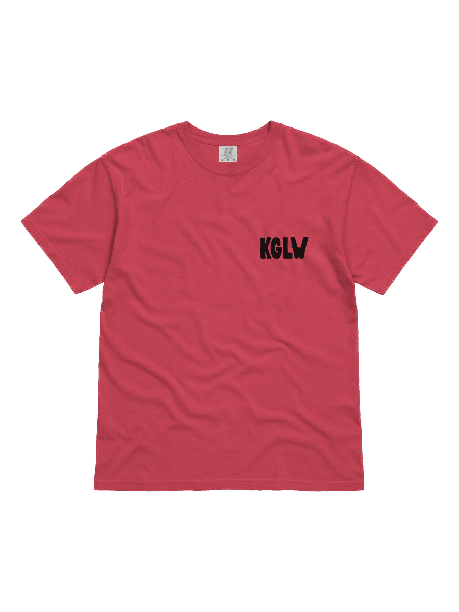 KING GIZZARD US SUMMER TOUR 2025 T-SHIRT product image (3)