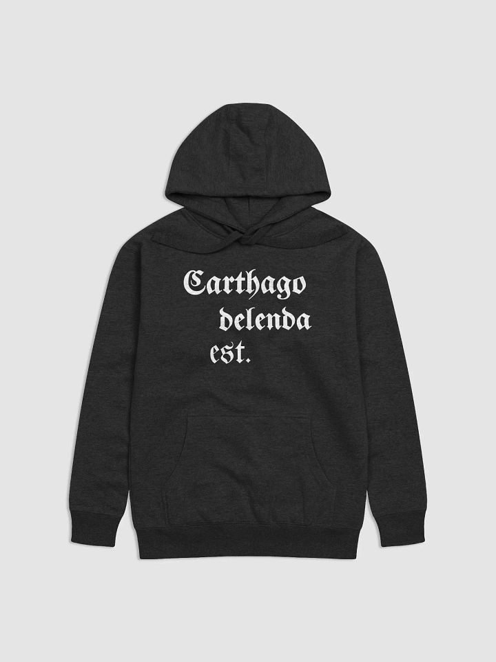Carthago Delenda Est. Hoodie product image (1)