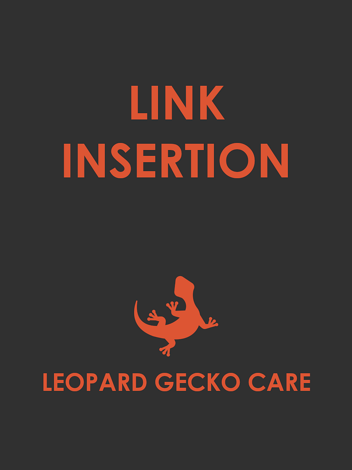 Link insertion in existing post product image (1)