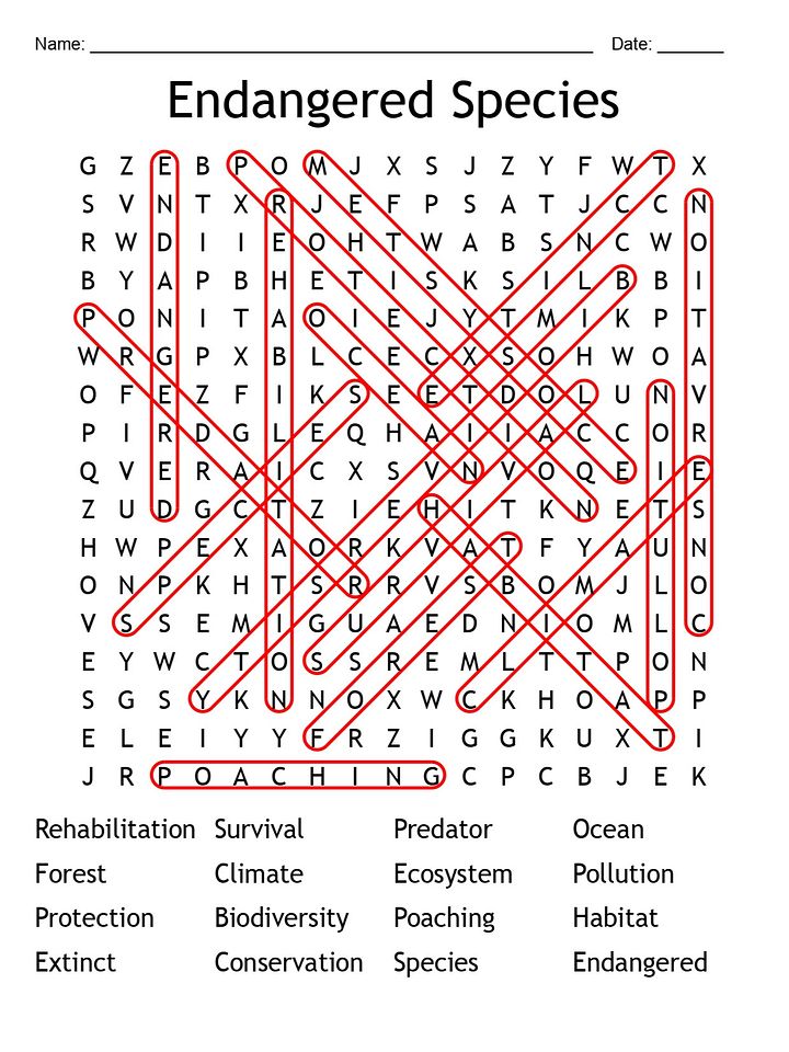 Printable Endangered Species Word Search – 16 Key Terms! product image (2)