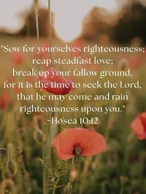 Let God's righteousness rain down. ❤️ #letitrain #righteousness #hosea #timeforrighteousness