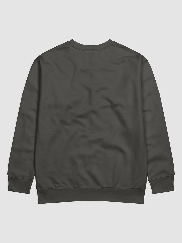 Mirror Image - Sweatshirt product image (2)