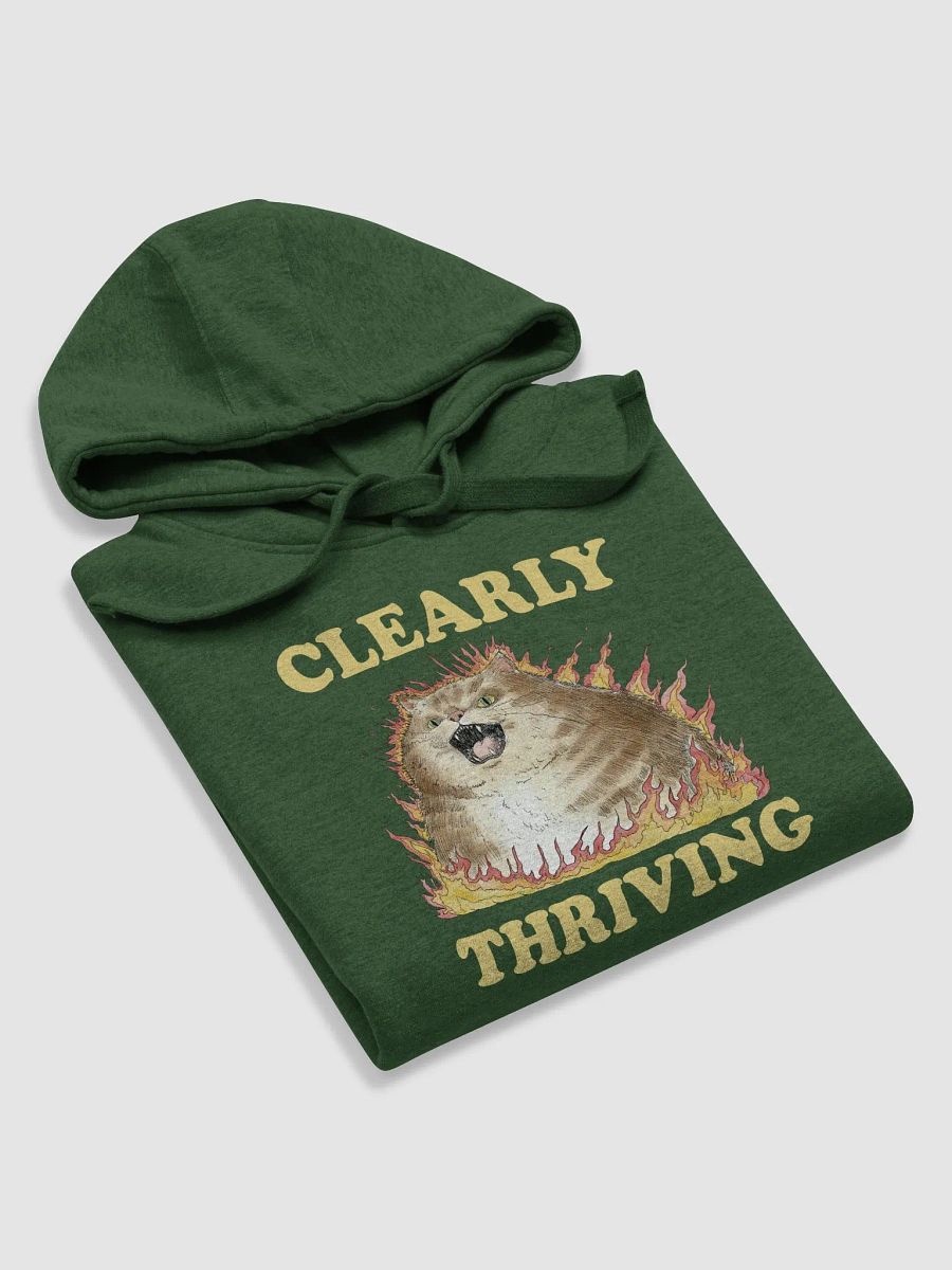 Clearly Thriving Hoodie (BB x CH) product image (3)