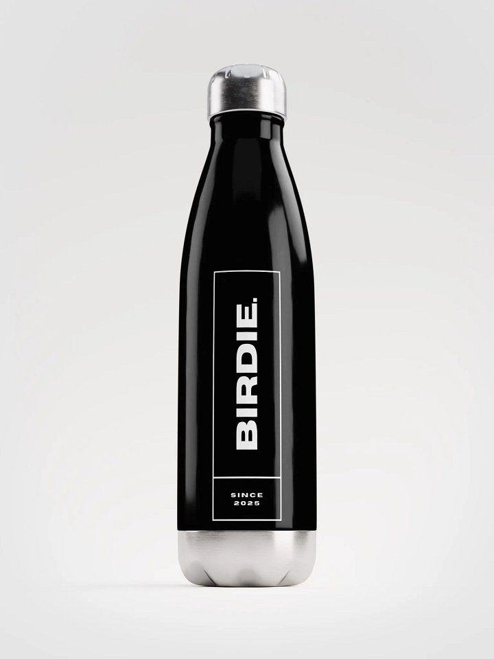 Stainless Steel Water Bottle - Limited Edition product image (1)