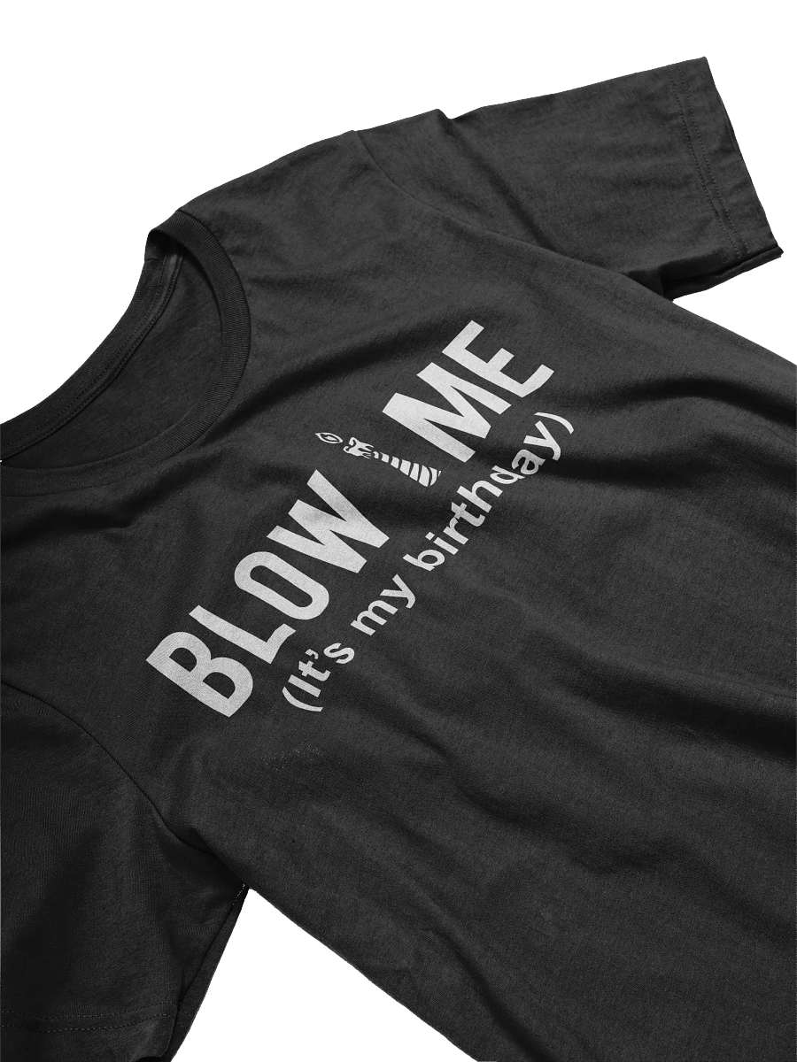 Funny Birthday T-shirt product image (11)