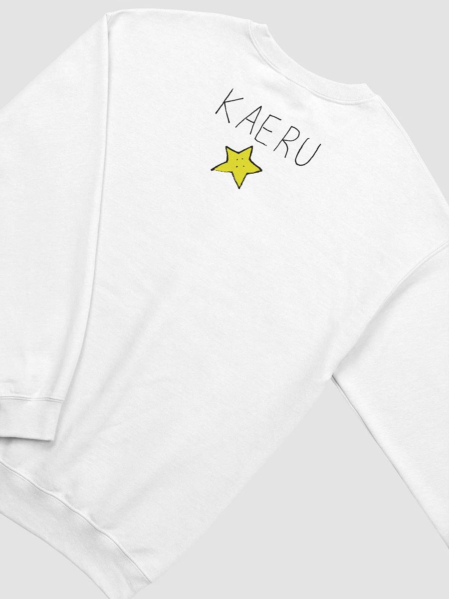 (FROG is going to live now with RAKE) - SECRET SWEATSHIRT product image (4)