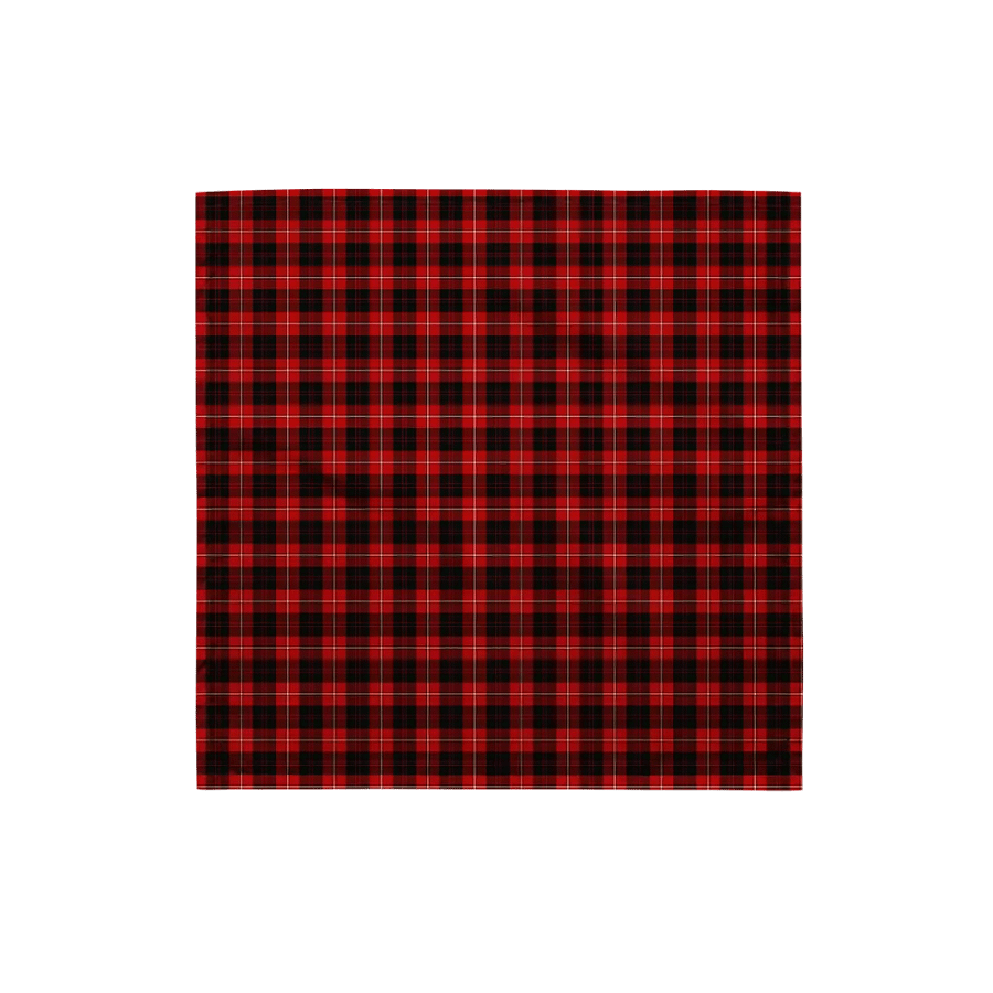 Cunningham Tartan Bandana product image (4)
