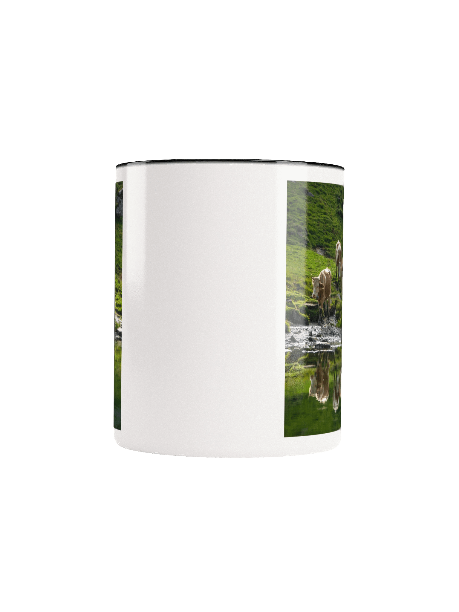 Cows at Sulseeli Jungfrau Region product image (61)