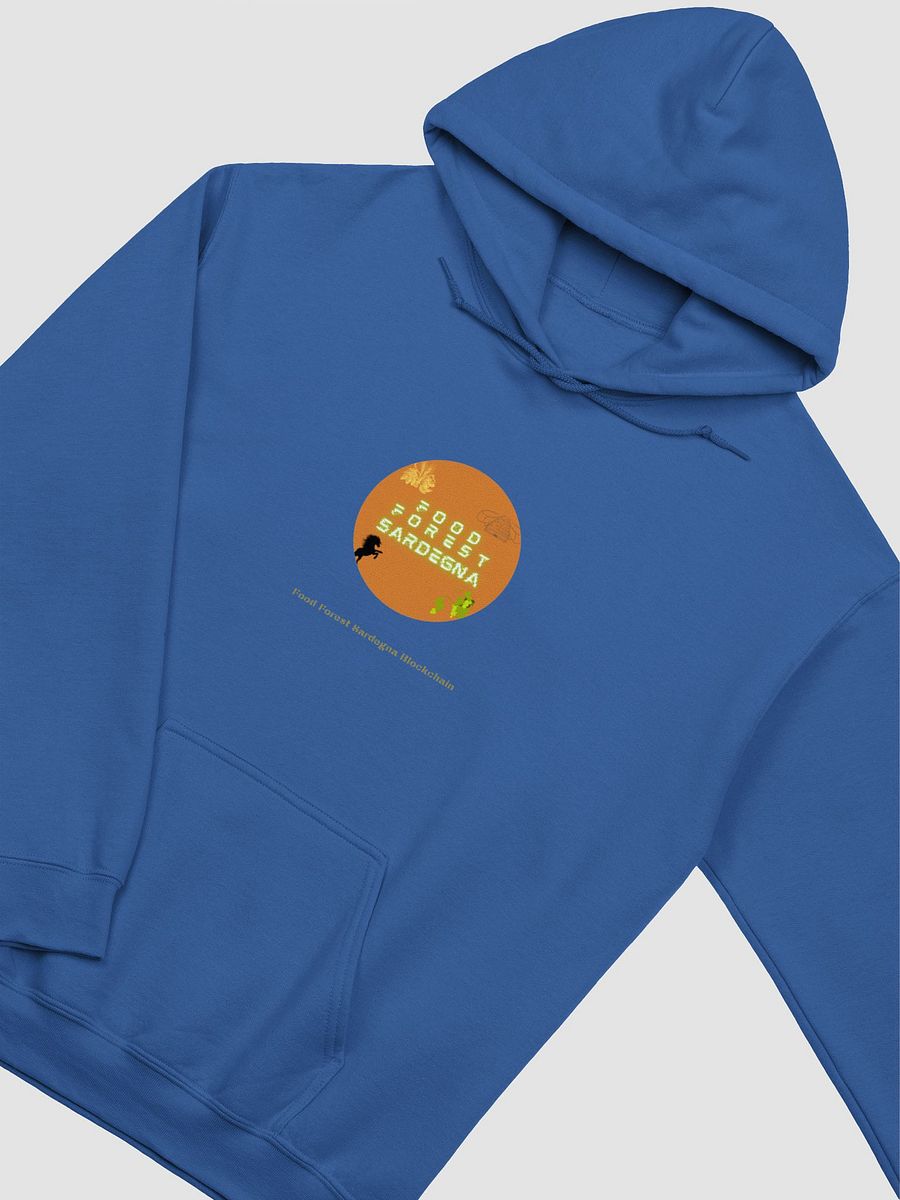 FFS Hoodie Royal - Felpa Royal FFS product image (3)